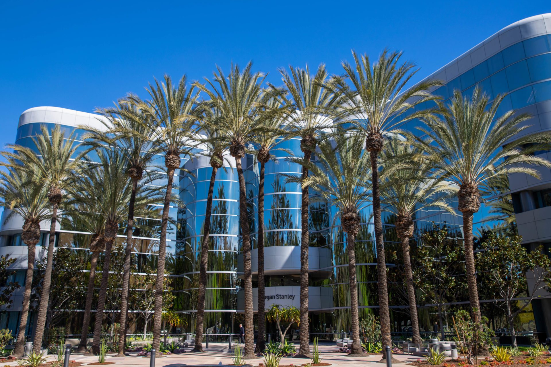 Photo of the Morgan Stanley Building CAPATA is located in